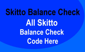 Skitto Balance Check Code